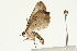  ( - UKLB13H02)  @12 [ ] CreativeCommons - Attribution (2009) Unspecified Centre for Biodiversity Genomics