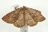  ( - UKLB14A07)  @13 [ ] CreativeCommons - Attribution (2009) Unspecified Centre for Biodiversity Genomics