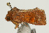 ( - UKLB14G06)  @11 [ ] CreativeCommons - Attribution (2009) Unspecified Centre for Biodiversity Genomics