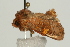  ( - UKLB14G07)  @11 [ ] CreativeCommons - Attribution (2009) Unspecified Centre for Biodiversity Genomics