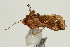 ( - UKLB14H07)  @12 [ ] CreativeCommons - Attribution (2009) Unspecified Centre for Biodiversity Genomics