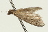  ( - UKLB17D02)  @12 [ ] CreativeCommons - Attribution (2009) Unspecified Centre for Biodiversity Genomics