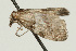  ( - UKLB17E04)  @12 [ ] CreativeCommons - Attribution (2009) Unspecified Centre for Biodiversity Genomics