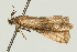  ( - UKLB17F03)  @13 [ ] CreativeCommons - Attribution (2009) Unspecified Centre for Biodiversity Genomics