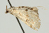  ( - UKLB17G03)  @13 [ ] CreativeCommons - Attribution (2009) Unspecified Centre for Biodiversity Genomics