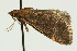  ( - UKLB17H11)  @13 [ ] CreativeCommons - Attribution (2009) Unspecified Centre for Biodiversity Genomics