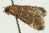 ( - UKLB17H12)  @13 [ ] CreativeCommons - Attribution (2009) Unspecified Centre for Biodiversity Genomics