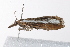  ( - UKLB16A10)  @12 [ ] CreativeCommons - Attribution (2009) Unspecified Centre for Biodiversity Genomics