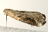  ( - UKLB16B03)  @13 [ ] CreativeCommons - Attribution (2009) Unspecified Centre for Biodiversity Genomics