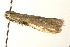  ( - UKLB16B04)  @14 [ ] CreativeCommons - Attribution (2009) Unspecified Centre for Biodiversity Genomics