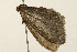  ( - UKLB16E02)  @12 [ ] CreativeCommons - Attribution (2009) Unspecified Centre for Biodiversity Genomics