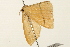  ( - UKLB16H03)  @12 [ ] CreativeCommons - Attribution (2009) Unspecified Centre for Biodiversity Genomics