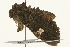  ( - UKLB15A04)  @14 [ ] CreativeCommons - Attribution (2009) Unspecified Centre for Biodiversity Genomics