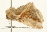  ( - UKLB15C05)  @11 [ ] CreativeCommons - Attribution (2009) Unspecified Centre for Biodiversity Genomics