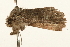 ( - UKLB15D08.fail1)  @11 [ ] CreativeCommons - Attribution (2009) Unspecified Centre for Biodiversity Genomics