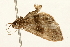  ( - UKLB15D09)  @12 [ ] CreativeCommons - Attribution (2009) Unspecified Centre for Biodiversity Genomics