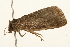  ( - UKLB15D10)  @13 [ ] CreativeCommons - Attribution (2009) Unspecified Centre for Biodiversity Genomics
