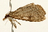  ( - UKLB15E03)  @12 [ ] CreativeCommons - Attribution (2009) Unspecified Centre for Biodiversity Genomics