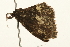  ( - UKLB15F03)  @12 [ ] CreativeCommons - Attribution (2009) Unspecified Centre for Biodiversity Genomics