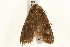  ( - UKLB15F08)  @13 [ ] CreativeCommons - Attribution (2009) Unspecified Centre for Biodiversity Genomics