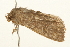  ( - UKLB18C04)  @11 [ ] CreativeCommons - Attribution (2009) Unspecified Centre for Biodiversity Genomics