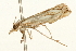  ( - UKLB18C08)  @11 [ ] CreativeCommons - Attribution (2009) Unspecified Centre for Biodiversity Genomics