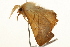  ( - UKLB18D12)  @12 [ ] CreativeCommons - Attribution (2009) Unspecified Centre for Biodiversity Genomics