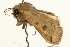  ( - UKLB18F07)  @11 [ ] CreativeCommons - Attribution (2009) Unspecified Centre for Biodiversity Genomics