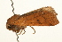 ( - UKLB18G05)  @11 [ ] CreativeCommons - Attribution (2009) Unspecified Centre for Biodiversity Genomics