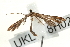  ( - UKLB18H02)  @14 [ ] CreativeCommons - Attribution (2009) Unspecified Centre for Biodiversity Genomics