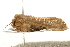  ( - UKLB19B04)  @11 [ ] CreativeCommons - Attribution (2009) Unspecified Centre for Biodiversity Genomics
