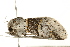  ( - UKLB19E01)  @12 [ ] CreativeCommons - Attribution (2009) Unspecified Centre for Biodiversity Genomics