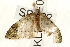  ( - UKLB19E07)  @14 [ ] CreativeCommons - Attribution (2009) Unspecified Centre for Biodiversity Genomics