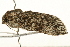  ( - UKLB19E09)  @12 [ ] CreativeCommons - Attribution (2009) Unspecified Centre for Biodiversity Genomics