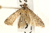  ( - UKLB19H10)  @13 [ ] CreativeCommons - Attribution (2009) Unspecified Centre for Biodiversity Genomics