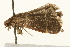  ( - UKLB15B08)  @13 [ ] CreativeCommons - Attribution (2010) Unspecified Centre for Biodiversity Genomics