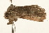  ( - UKLB15D08)  @11 [ ] CreativeCommons - Attribution (2010) Unspecified Centre for Biodiversity Genomics