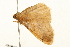  ( - UKLB15F05)  @13 [ ] CreativeCommons - Attribution (2010) Unspecified Centre for Biodiversity Genomics