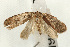  ( - UKLB26B04)  @12 [ ] CreativeCommons - Attribution (2009) Unspecified Centre for Biodiversity Genomics