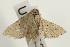  ( - UKLB26B09)  @12 [ ] CreativeCommons - Attribution (2009) Unspecified Centre for Biodiversity Genomics