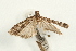  ( - UKLB26B10)  @13 [ ] CreativeCommons - Attribution (2009) Unspecified Centre for Biodiversity Genomics