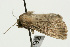  ( - UKLB26C07)  @12 [ ] CreativeCommons - Attribution (2009) Unspecified Centre for Biodiversity Genomics