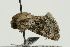  ( - UKLB26C10)  @13 [ ] CreativeCommons - Attribution (2009) Unspecified Centre for Biodiversity Genomics