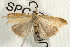  ( - UKLB26D06)  @13 [ ] CreativeCommons - Attribution (2009) Unspecified Centre for Biodiversity Genomics