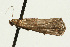 ( - UKLB26D10)  @12 [ ] CreativeCommons - Attribution (2009) Unspecified Centre for Biodiversity Genomics