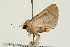  ( - UKLB26E11)  @13 [ ] CreativeCommons - Attribution (2009) Unspecified Centre for Biodiversity Genomics
