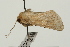  ( - UKLB26E12)  @12 [ ] CreativeCommons - Attribution (2009) Unspecified Centre for Biodiversity Genomics