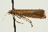  ( - UKLB26F01)  @13 [ ] CreativeCommons - Attribution (2009) Unspecified Centre for Biodiversity Genomics