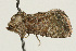  ( - UKLB26F11)  @13 [ ] CreativeCommons - Attribution (2009) Unspecified Centre for Biodiversity Genomics