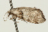  ( - UKLB26G02)  @12 [ ] CreativeCommons - Attribution (2009) Unspecified Centre for Biodiversity Genomics